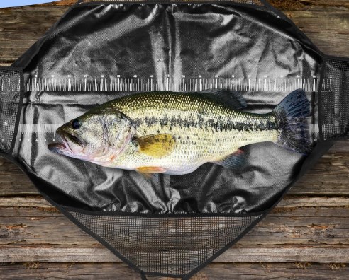 Photographed Fishing Unhooking - مراجعة Fishing Bag Waterproof وسعره